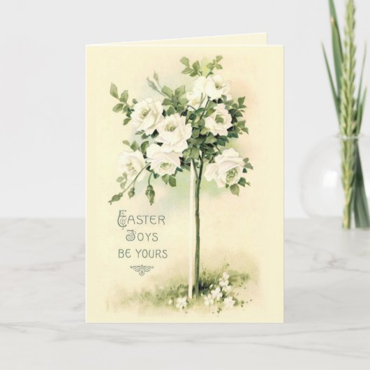 Ostergroßer Rosenbaum Feiertagskarte (Vorderseite)