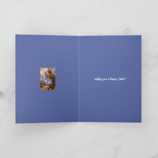 Ostergruß - Chionodoxa - Karte (Innenseite)