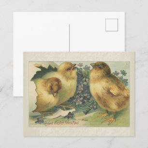 Ostergruß Küken Baby aus dem Jahr 1898 Postkarte