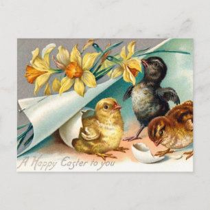 Ostergruß mit Vintage-Küken und gelben Blumen Postkarte