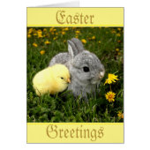 Ostergruß ... Osterkarte (Vorne)