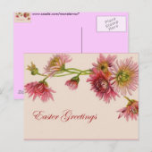 Ostergruß Postkarte (Vorne/Hinten)