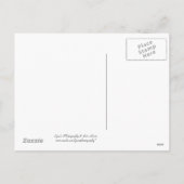 Ostergruß - Postkarte (Rückseite)