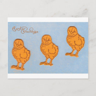 Ostergrüsse Chicks Blue Feiertagspostkarte
