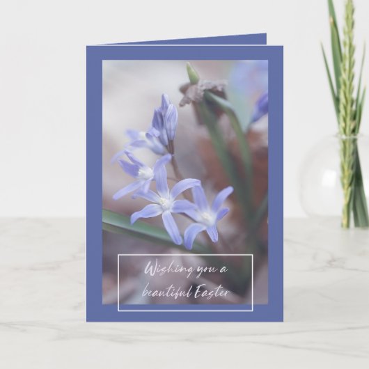 Ostergrüße - Chionodoxa - Karte (Vorderseite)
