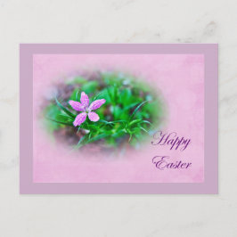 Ostergrüße Deptford Pink Wildblume Feiertagspostkarte