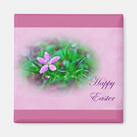 Ostergrüße Deptford Pink Wildblume Magnet (Vorne)