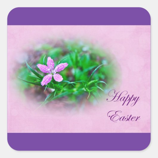 Ostergrüße Deptford Pink Wildblume Quadratischer Aufkleber (Vorderseite)