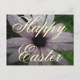 Ostergrüße Feiertagspostkarte