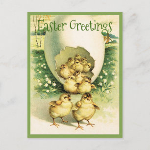 Ostergrüße mit alten Küken Postkarte