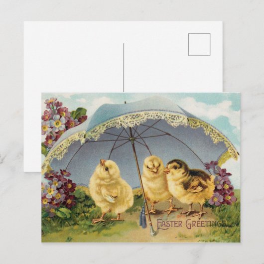 Ostergrüße Postkarte (Vorne/Hinten)