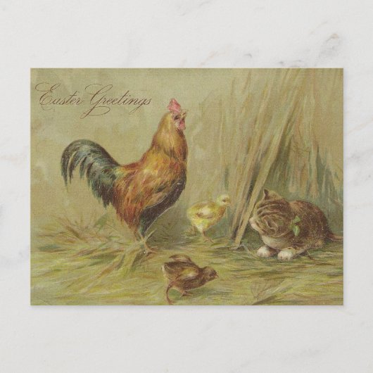 Ostergrüße Vintage Chicks Katzenbenutzerdefinierte Feiertagspostkarte (Vorderseite)