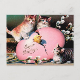 Ostergrüße Vintage Katzen Küken und Osterei Postkarte