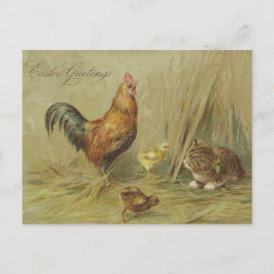 Ostergrüße Vintage Küken Katze Benutzerdefinierter Feiertagspostkarte