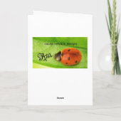 Ostergrußkarte Feiertagskarte (Rückseite)