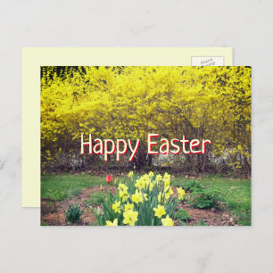 Ostergrußschrift Forsythia und Affodien Postkarte