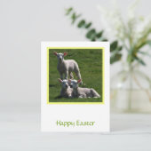 Osterhämmer Postkarte (Stehend Vorderseite)