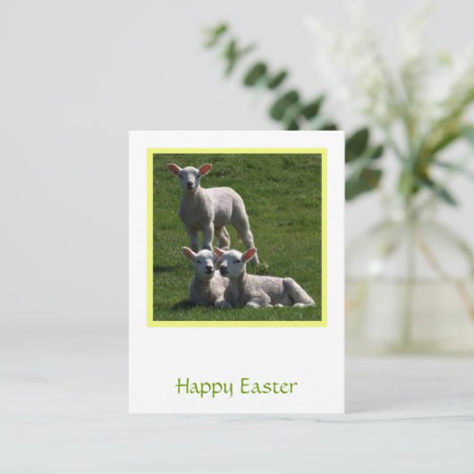 Osterhämmer Postkarte (Stehend Vorderseite)