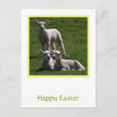 Osterhämmer Postkarte (Vorderseite)