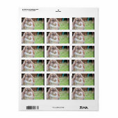 Osterhase Adressaufkleber (Vorne)