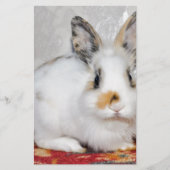 Osterhase Briefpapier (Vorderseite)