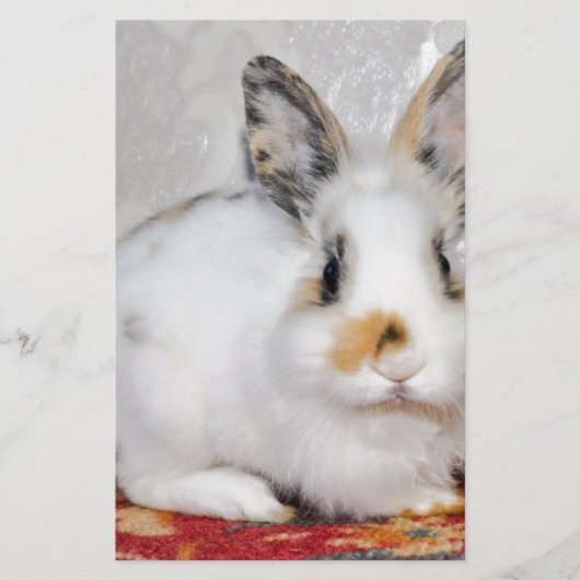 Osterhase Briefpapier (Vorderseite)