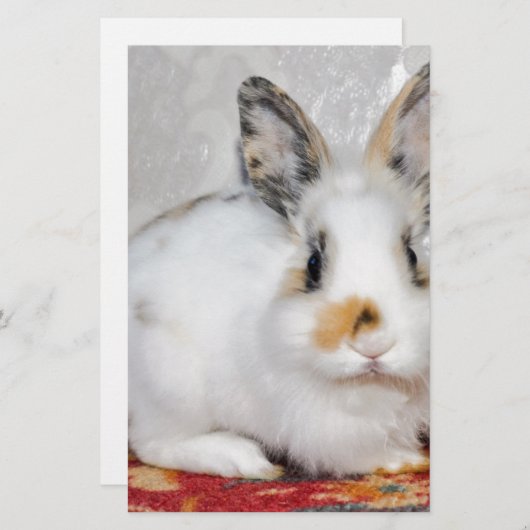 Osterhase Briefpapier (Vorne/Hinten)