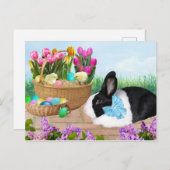 Osterhase Bunny Postcard Postkarte (Vorne/Hinten)
