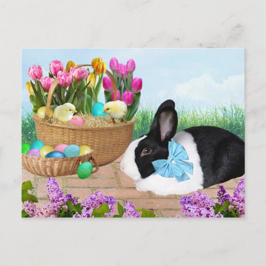 Osterhase Bunny Postcard Postkarte (Vorderseite)