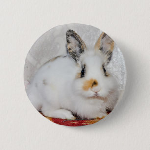 Osterhase Button