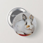 Osterhase Button (Vorne & Hinten)
