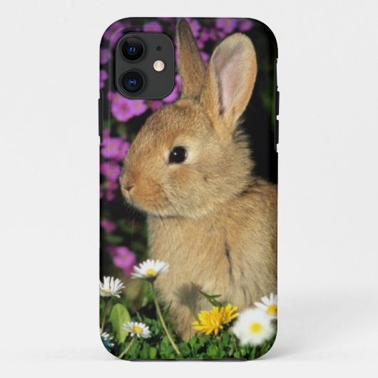 Osterhase Case-Mate iPhone Hülle (Rückseite)