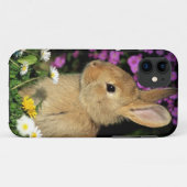 Osterhase Case-Mate iPhone Hülle (Rückseite (Horizontal))