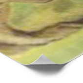 Osterhase Farbige Gemalte Ei Feld Poster (Ecke)