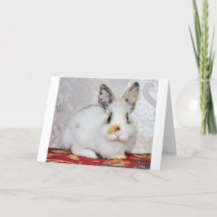 Osterhase Feiertagskarte