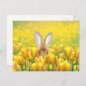 Osterhase Feiertagspostkarte (Vorne/Hinten)