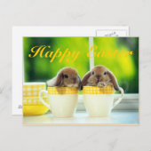 Osterhase Feiertagspostkarte (Vorne/Hinten)