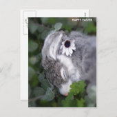 Osterhase Feiertagspostkarte (Vorne/Hinten)