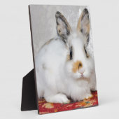 Osterhase Fotoplatte (Seite)