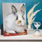 Osterhase Fotoplatte (Seite)