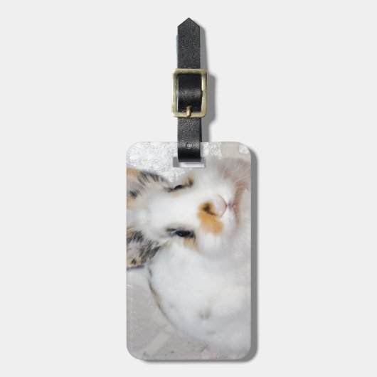 Osterhase Gepäckanhänger (Vorderseite vertikal)