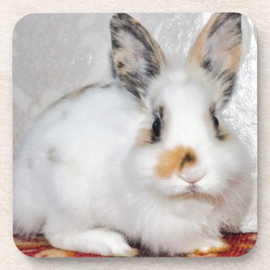 Osterhase Getränkeuntersetzer (Vorderseite)