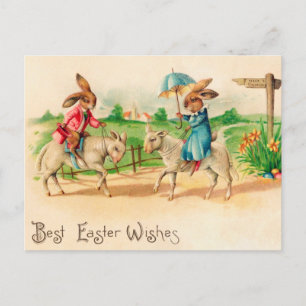 Osterhase Hase reitet Lämmer Grüße Postkarte