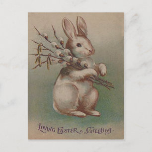 Osterhase Hasen Kaninchen Feiertagspostkarte