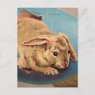 Osterhase im Vintage-Stil Postkarte
