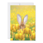 Osterhase in den Tulpen