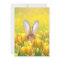 Osterhase in den Tulpen