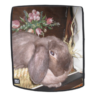 Osterhase in einem Korb Rucksack