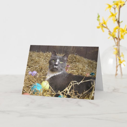 Osterhase in Tarnung Karte (Gelbe Blume)