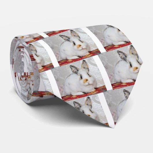 Osterhase Krawatte (Gerollt)